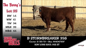 Lot #35 - B STORMBREAKER 35G
