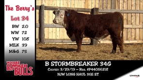 Lot #34 - B STORMBREAKER 34G
