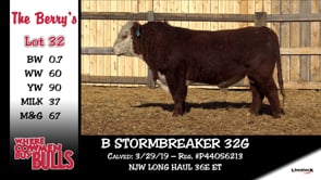 Lot #32 - B STORMBREAKER 32G