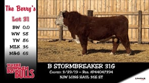 Lot #31 - B STORMBREAKER 31G