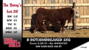 Lot #28 - B STORMBREAKER 28G