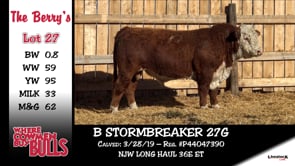 Lot #27 - B STORMBREAKER 27G