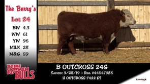 Lot #24 - B OUTCROSS 24G