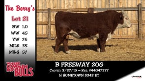 Lot #21 - B FREEWAY 20G