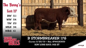 Lot #17 - B STORMBREAKER 17G