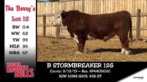 Lot #12 - B STORMBREAKER 12G