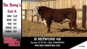 Lot #4 - B NETWORK 4G