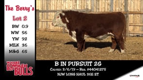 Lot #2 - B IN PURSUIT 2G