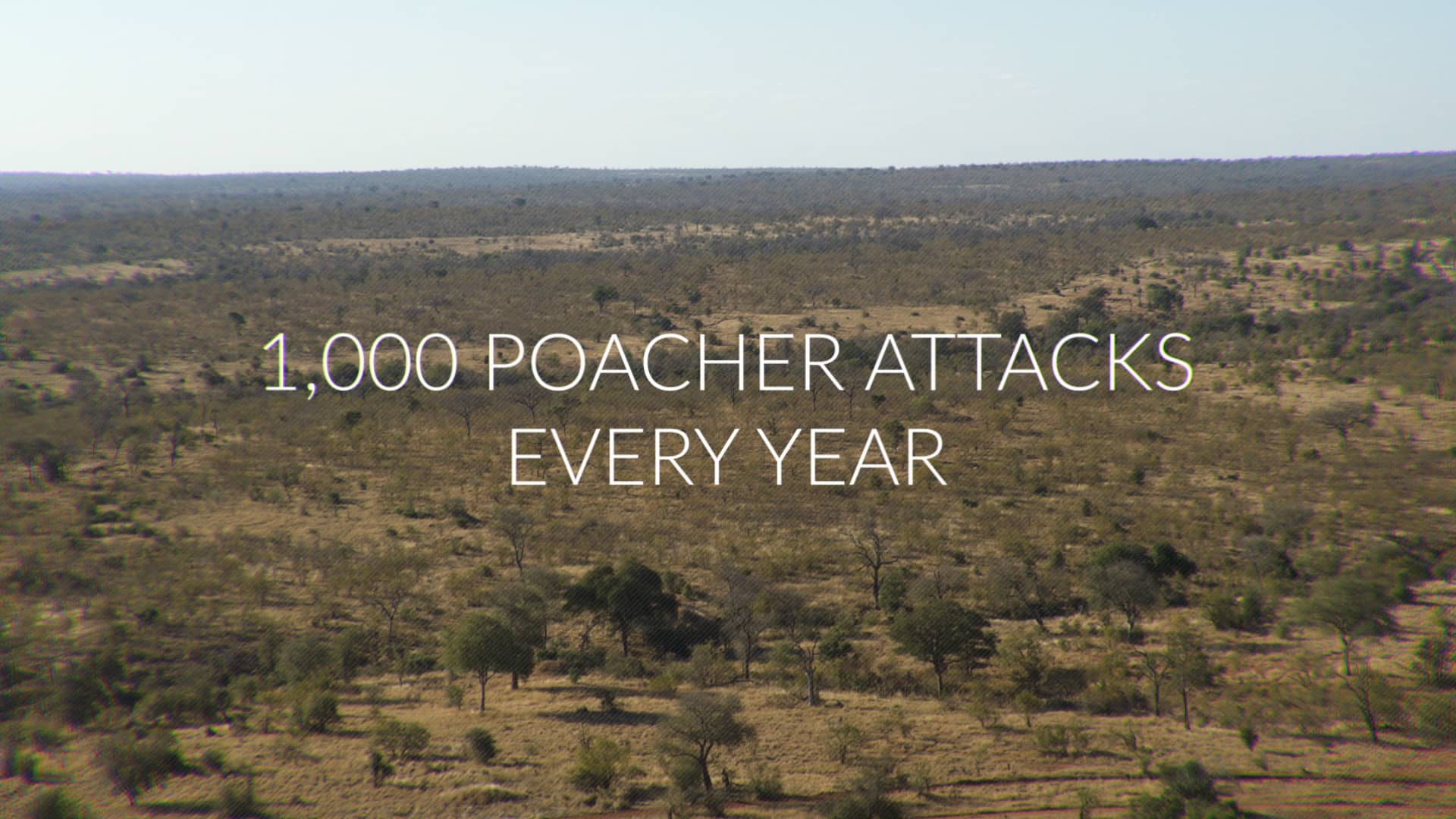 The Anti-Poaching Dog Squad
