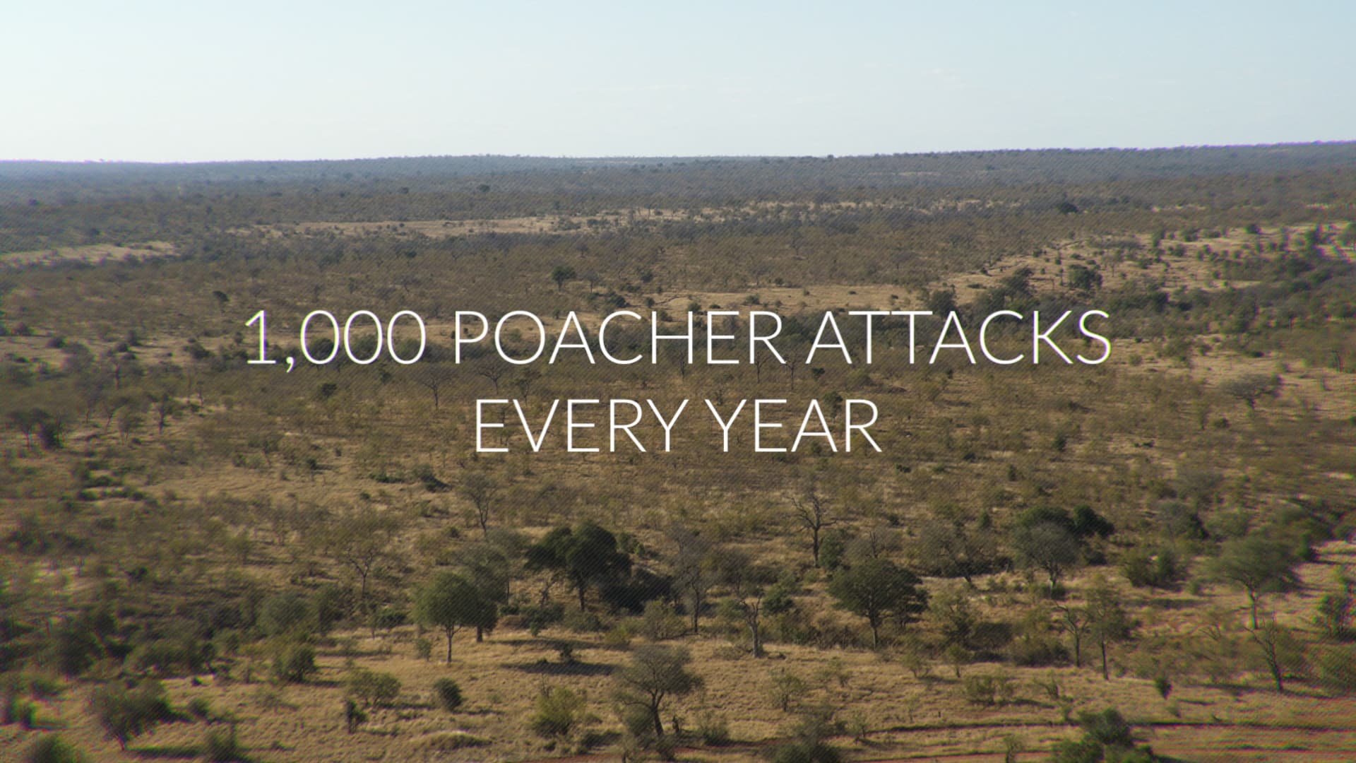The Anti-Poaching Dog Squad