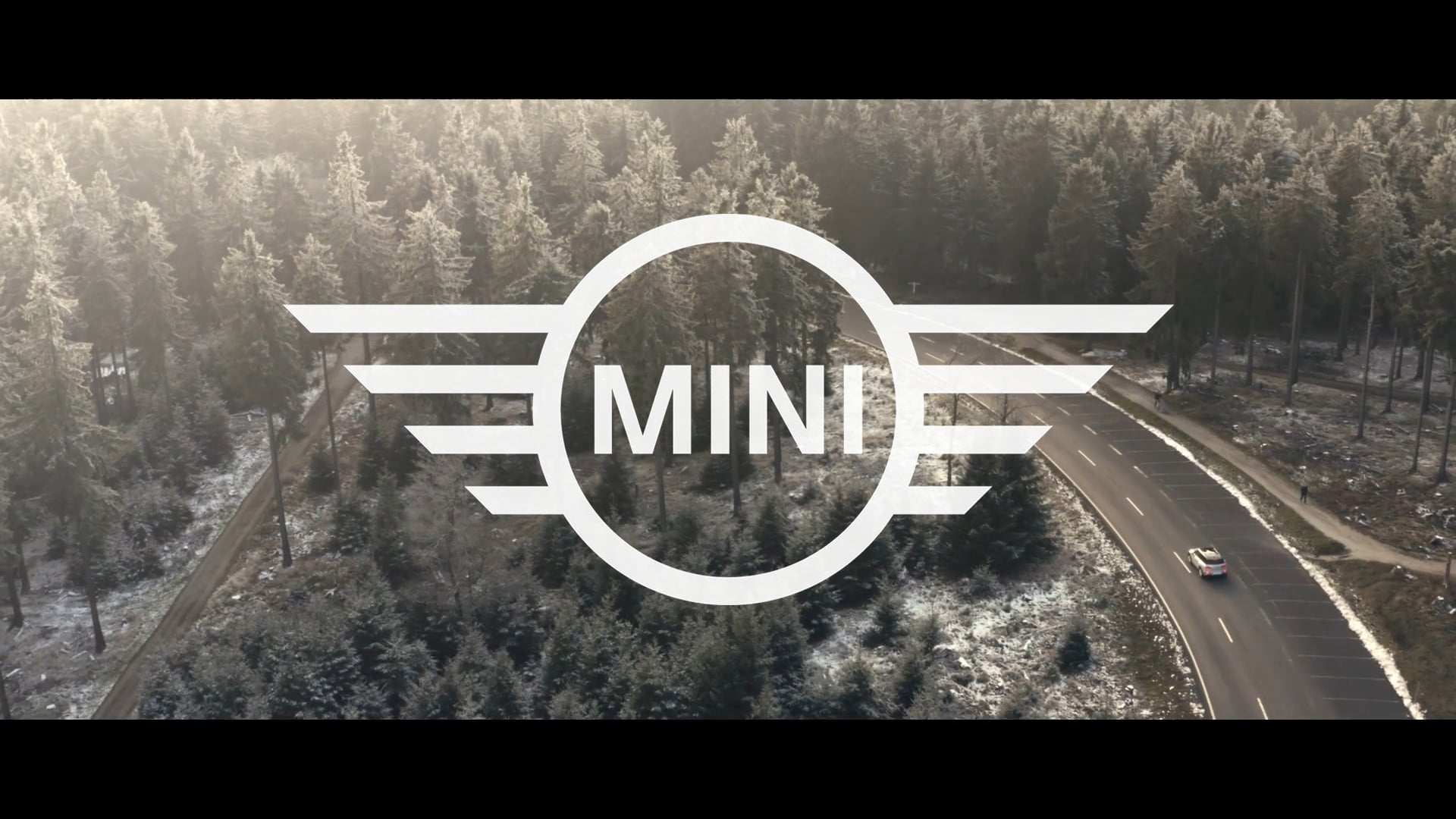 Mini - The Forrest