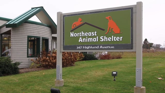 Home - Northeast Animal Shelter