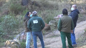 Arranjament del Camí dels Termes