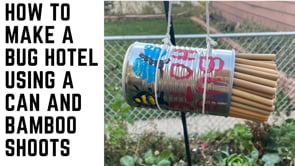 Related Embedded Video Item Thumbnail