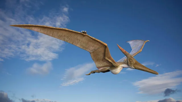 Pterosaur Facts – Amazing Flying Reptiles That Lived With Dinosaurs