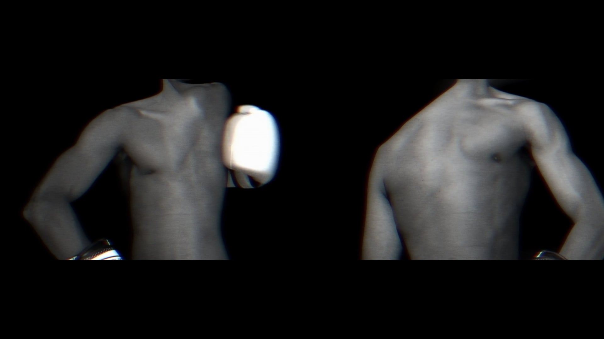 'Janus 1 & 2'