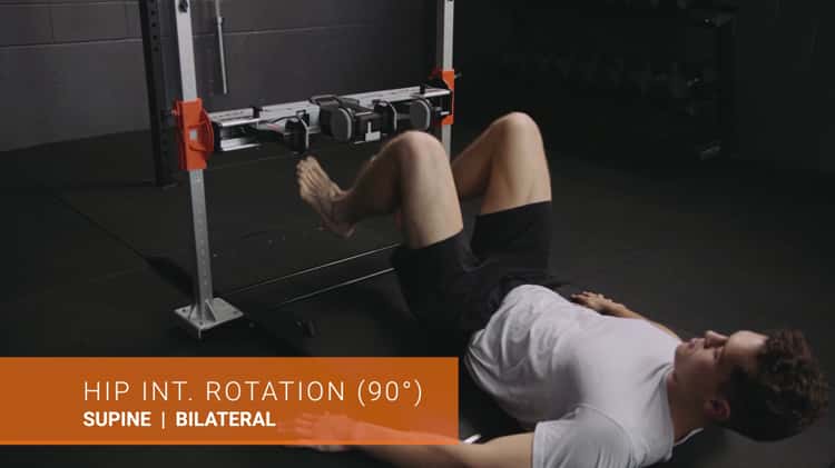 hip internal rotator muscles