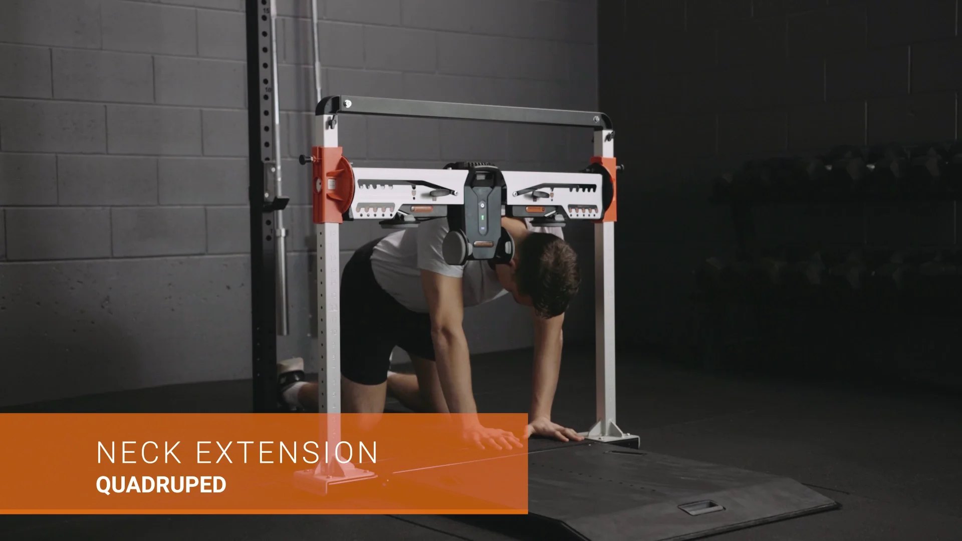 Alternative: BANDED QUADRUPED SINGLE ARM TRICEP EXTENSION on Vimeo