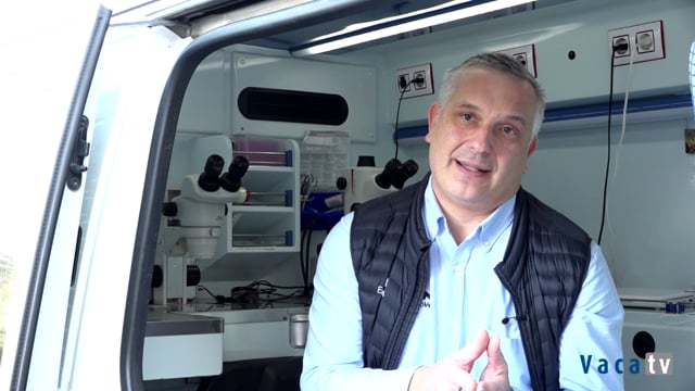 Entrevista a Daniel Martínez (Embriovet Embriomarket)
