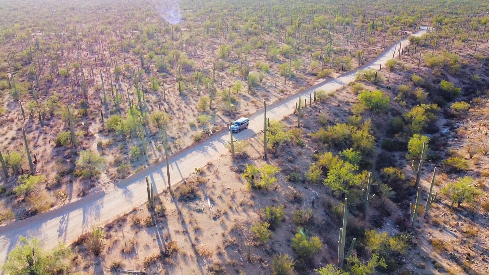 Cushing's Creole Commercial