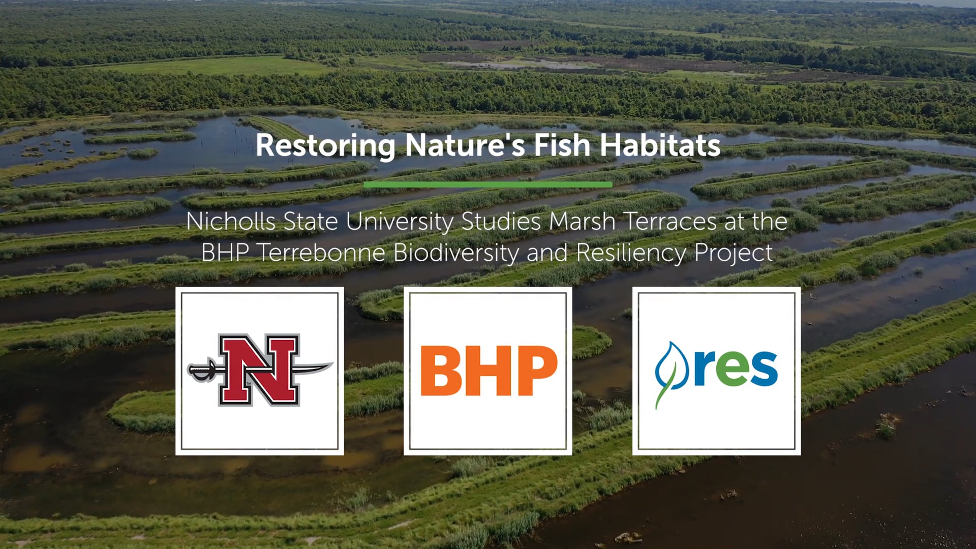 Restoring Nature's Fish Habitats: Nicholls State University Studies Marsh Terraces