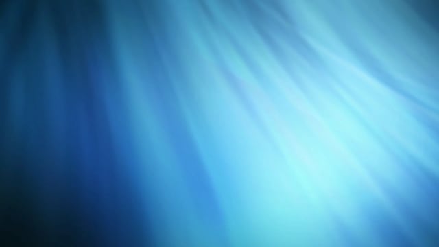 Netz Digital Design - Free video on Pixabay - Pixabay