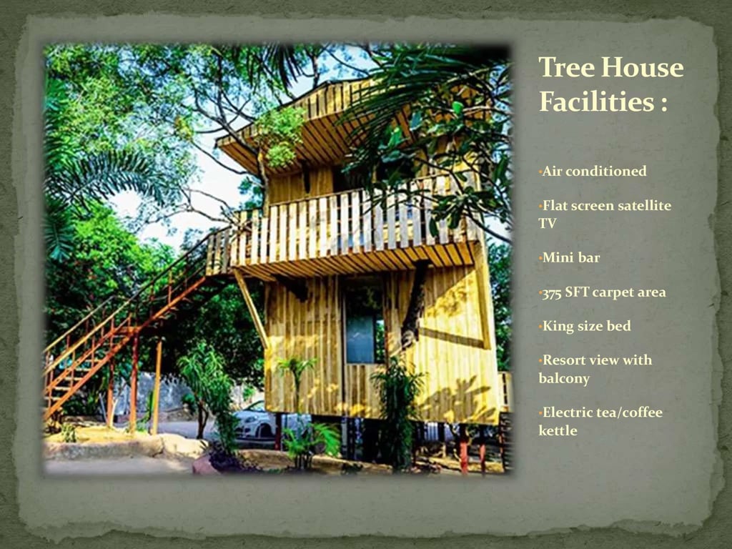 Tree House Resort in Zirakpur, Chandigarh Stay in Tree House Hotel