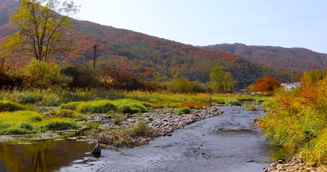 Autumn Scenery, Republic Of Korea, Korean Countryside. Free Stock Video ...