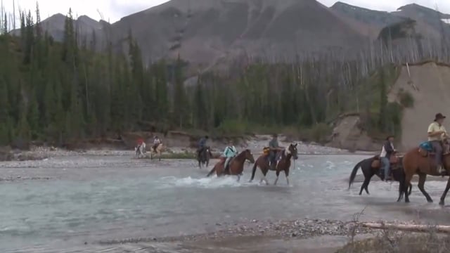 Analyse Ihrer Ergebnisse