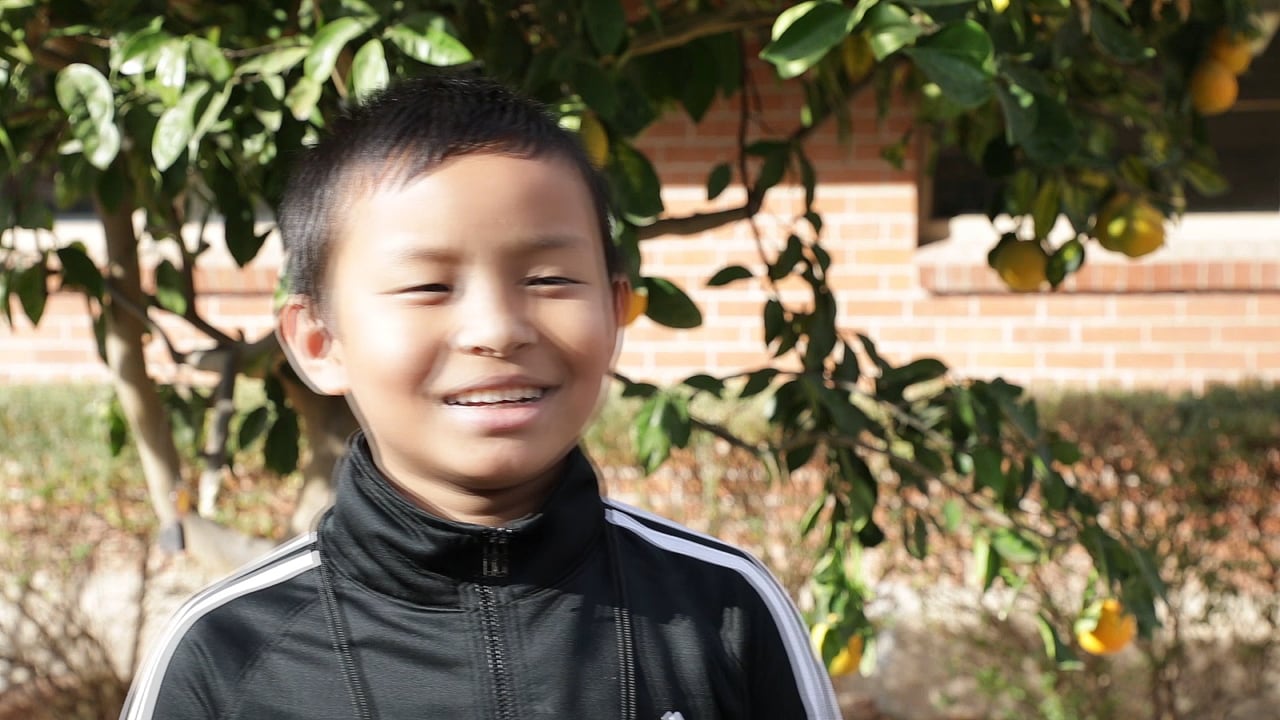 Edible Education, a video by Ozlem Ayse Ozgur