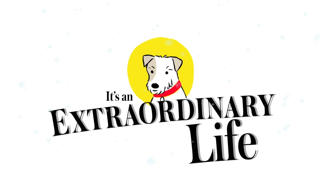 It's an Extraordinary Life