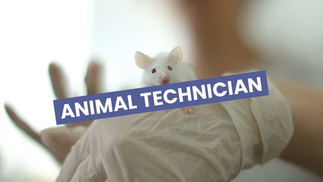 Animal technician