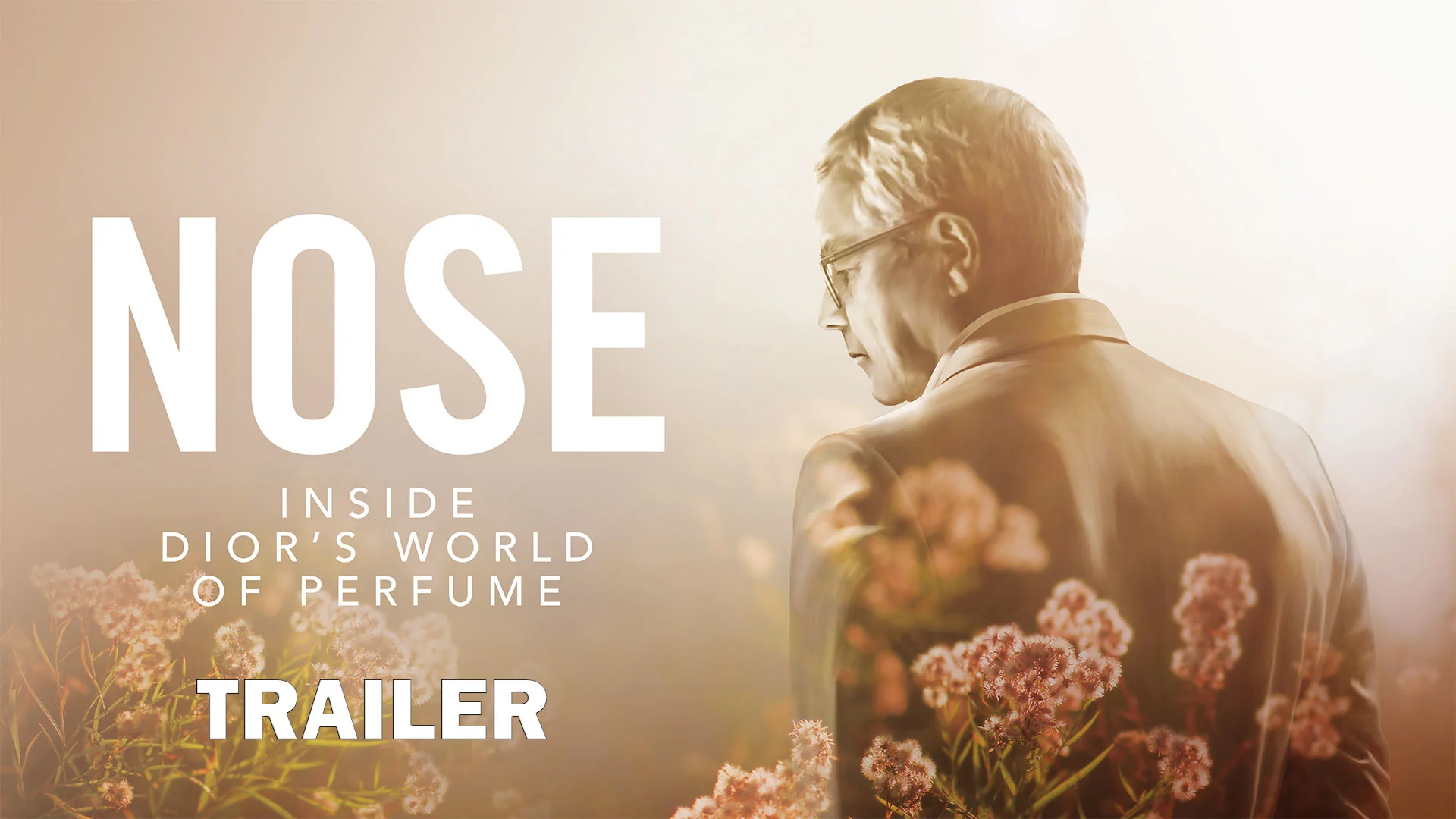 Watch Nose Online Vimeo On Demand