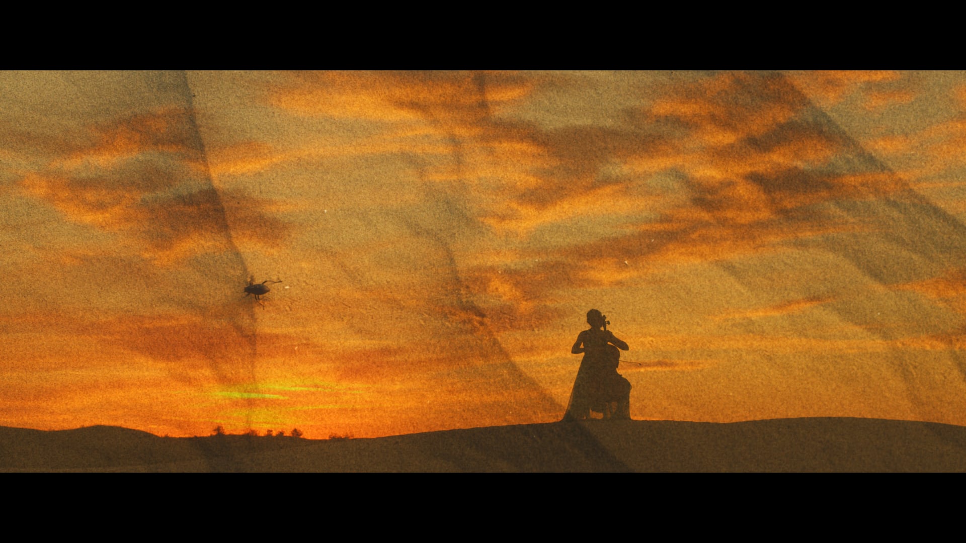 Morning Song | Music Visual