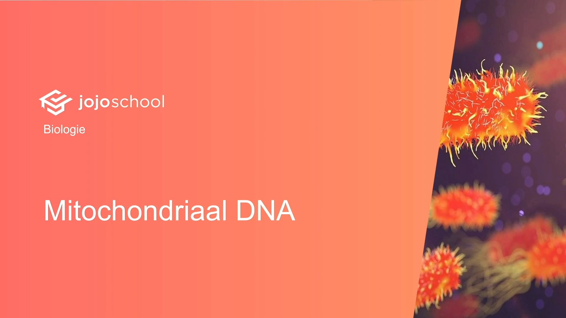 Mitochondriaal DNA