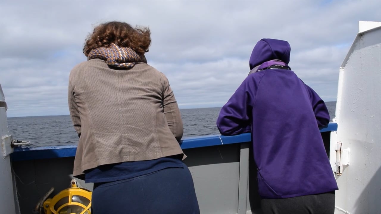 Memory Archipelago, a video by Pawas Bisht & Alena Pfoser