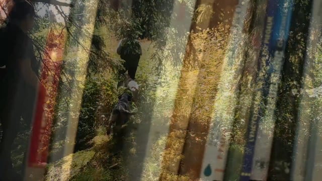 La chasse en quelques mots