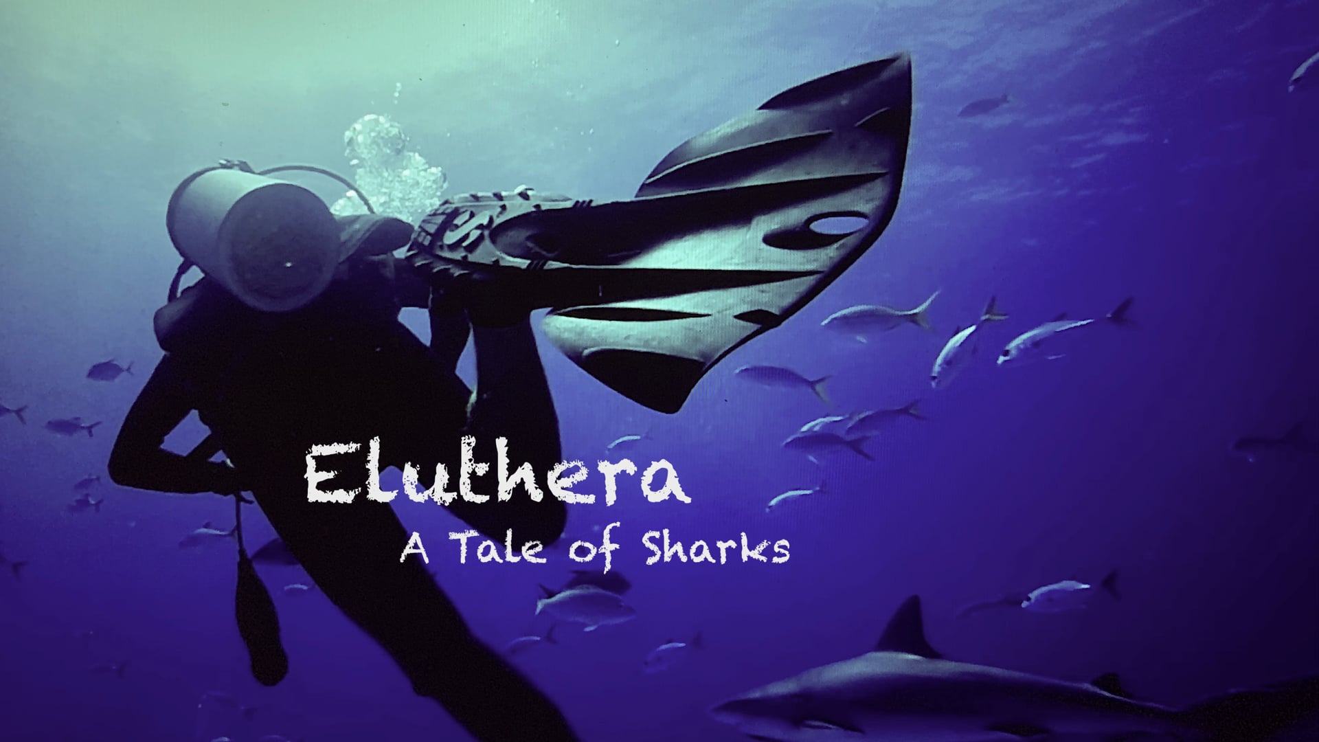 Eluthera - A Tale of Sharks
