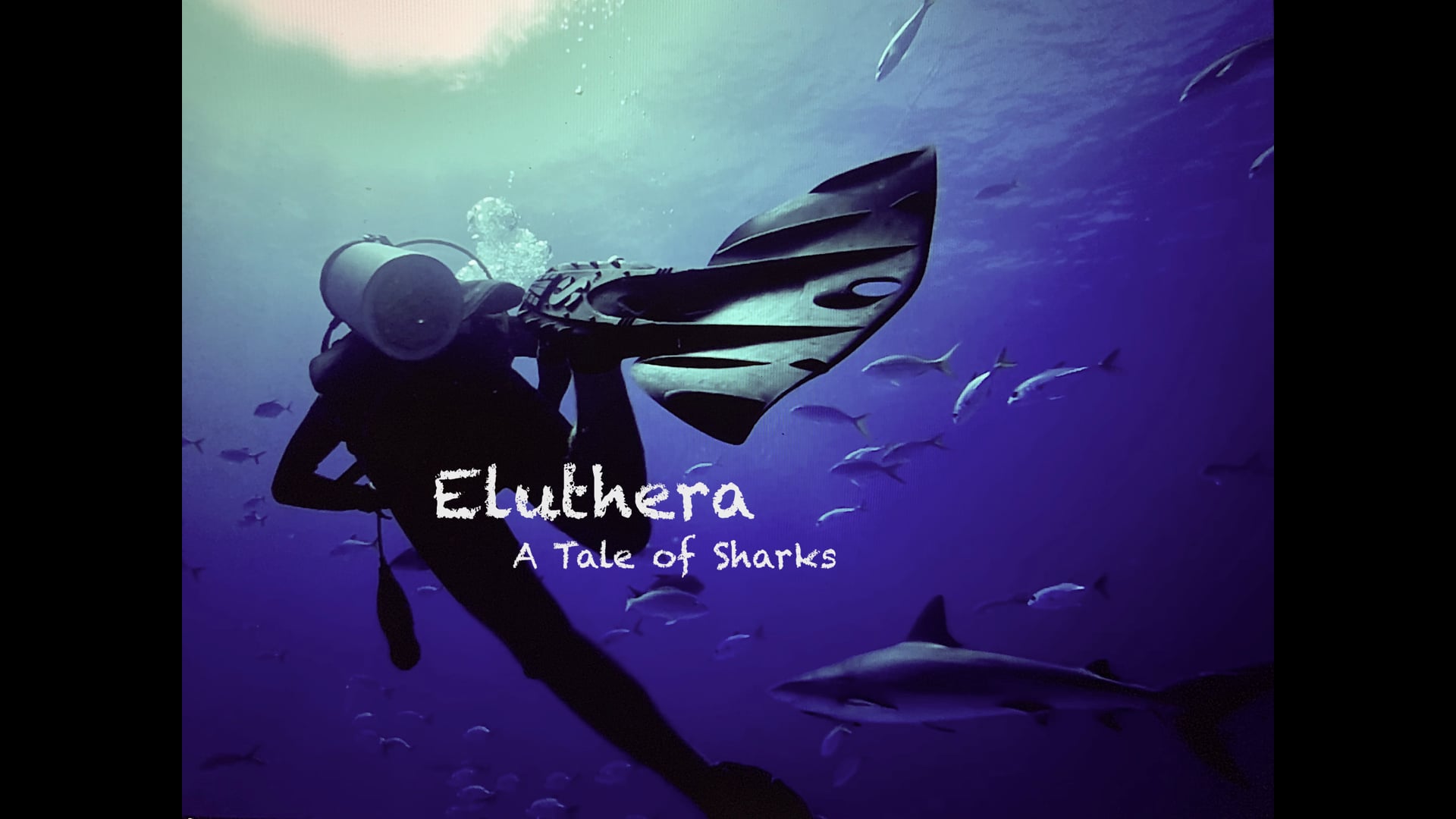 Eluthera - A Tale of Sharks