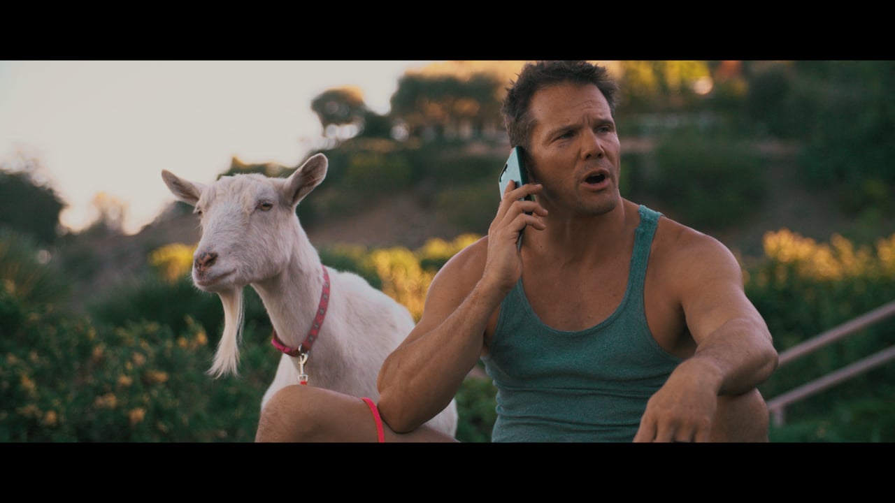 Thumb Runner Trailer