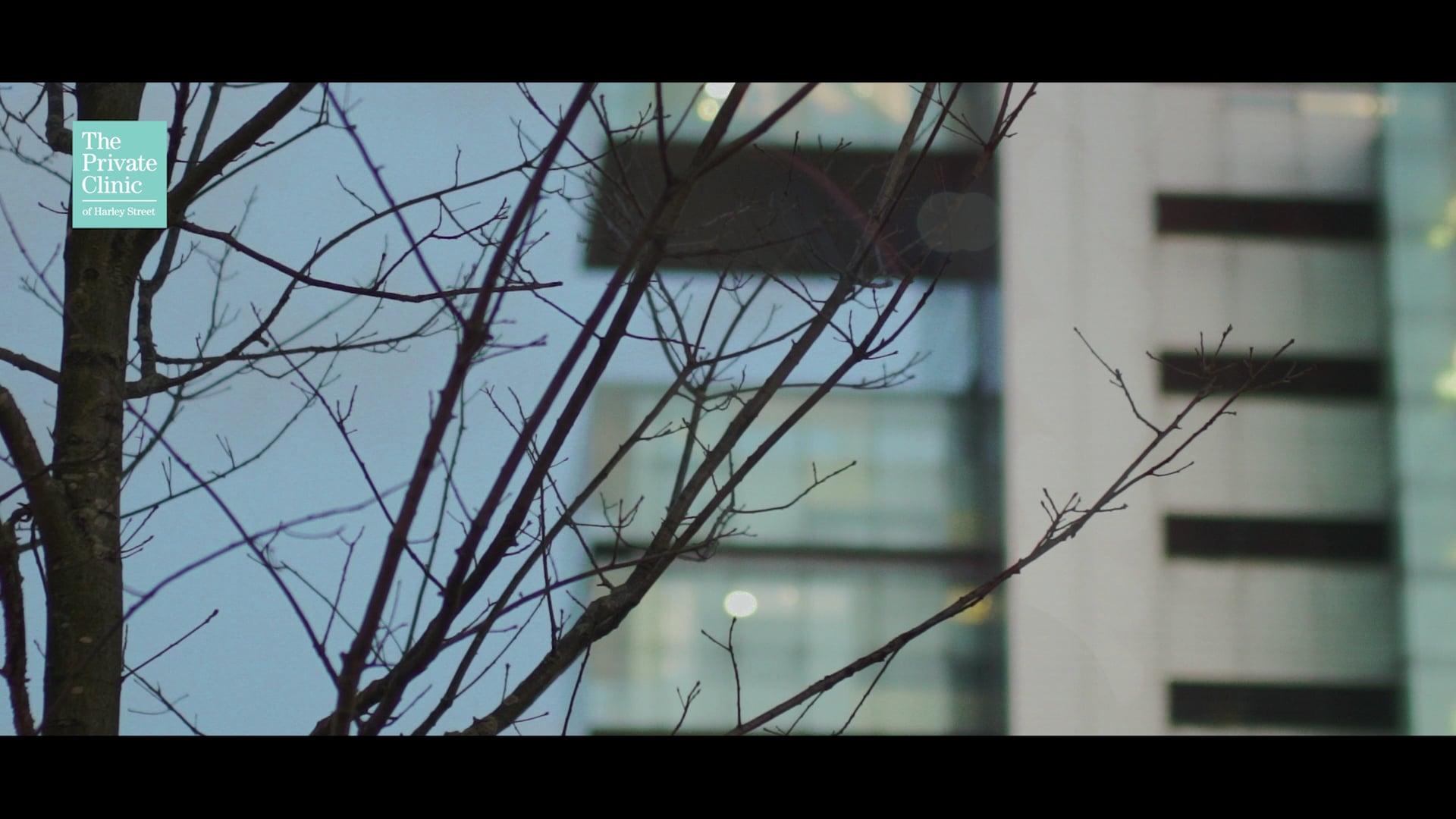 TPC - Menagerie Manchester