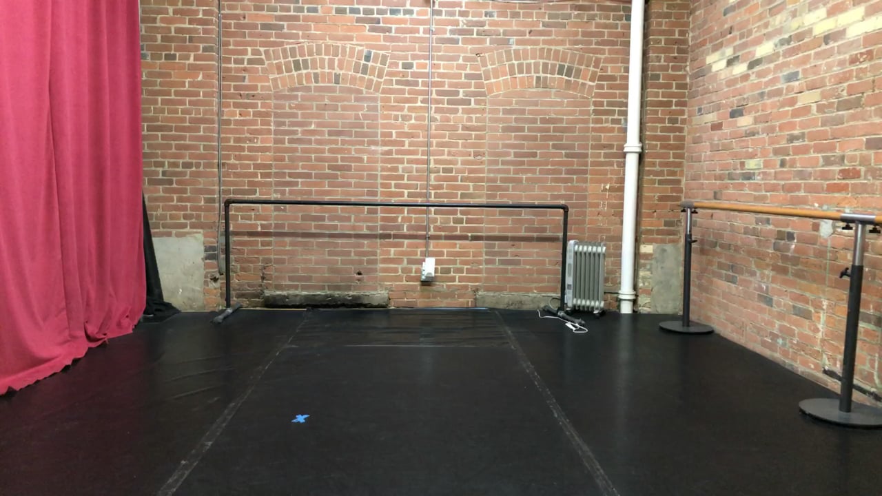 ALLEGRO BALLET BOOTCAMP- LIVESTREAM- 12/20