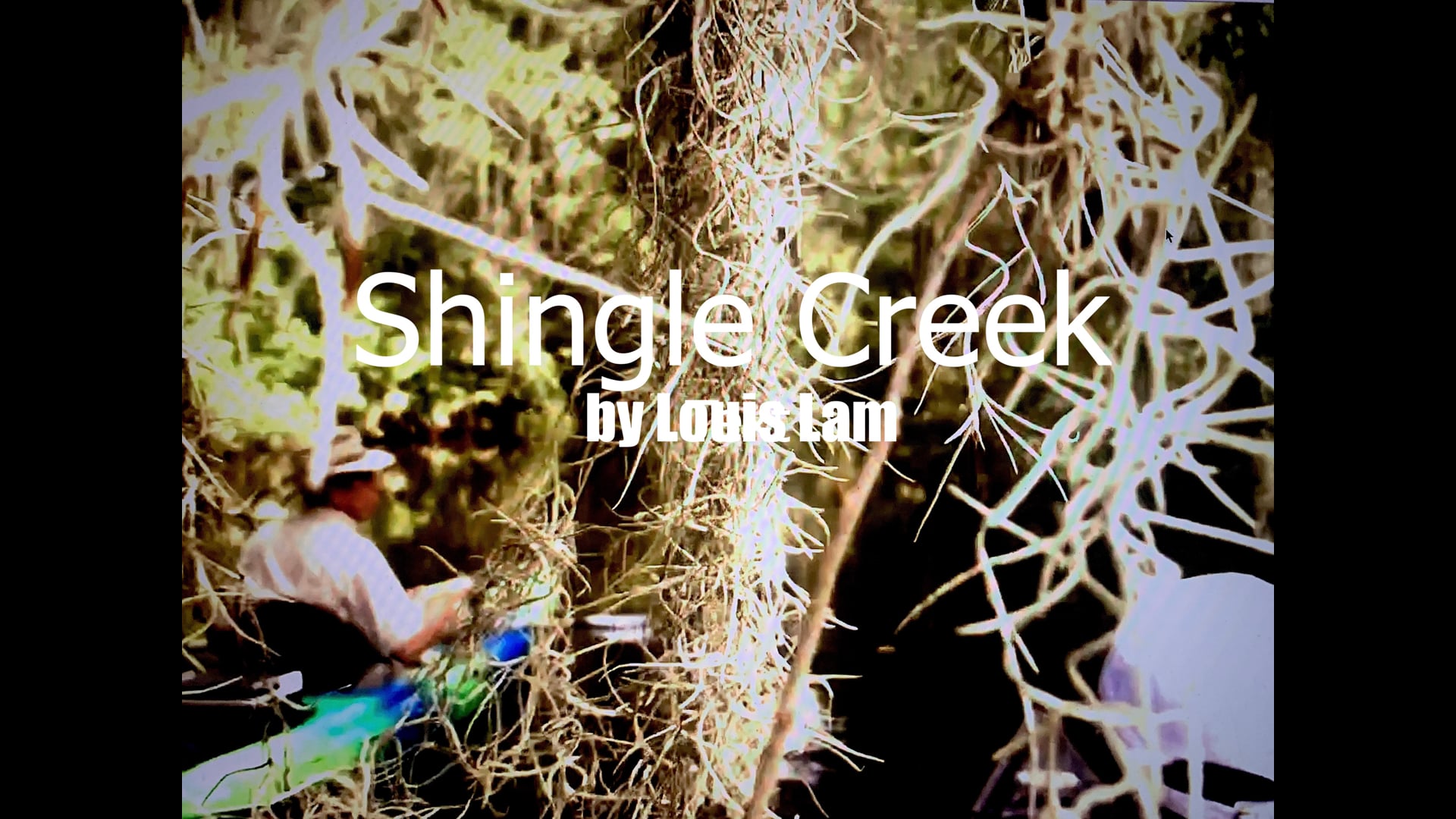 Shingle Creek - The American Everglade