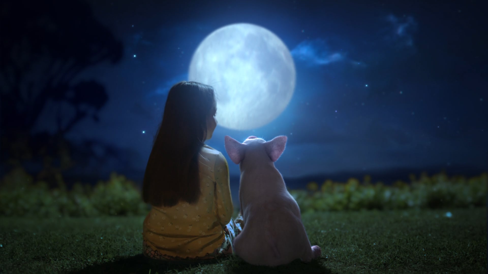 Animals Australia 'Evolution' TVC