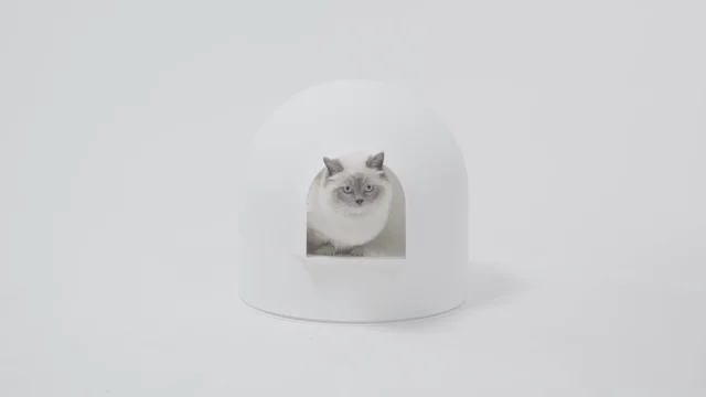 Pidan igloo clearance cat litter box