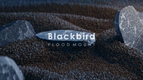 Blackbird Flood Mount || VIZULO