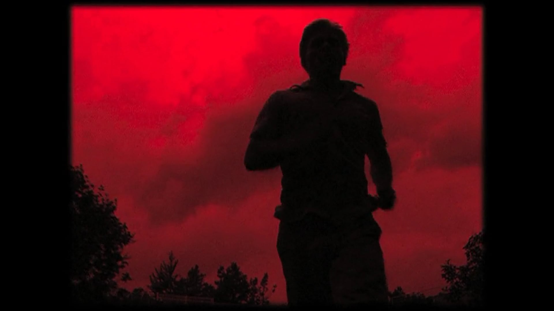 'The run / The forest' edit multi sequences
