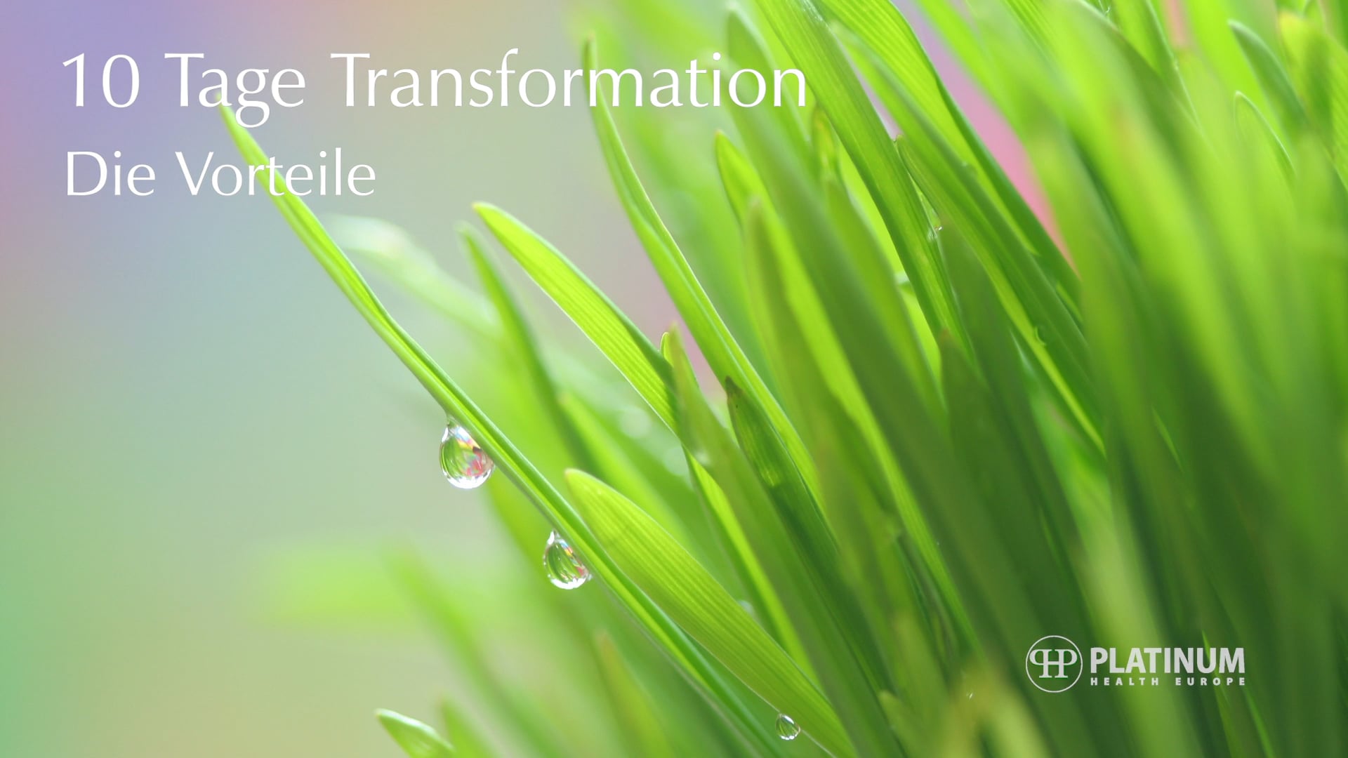 10 Tage Transformation - Die Vorteile