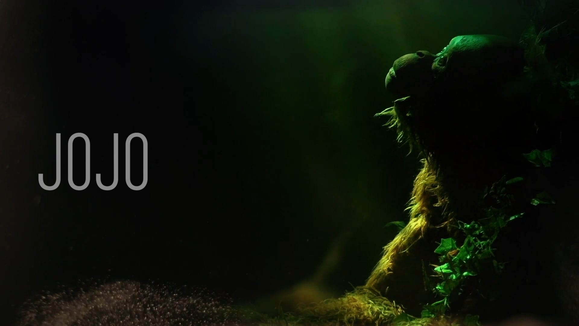 For Cia Borja Ytuquepintas.