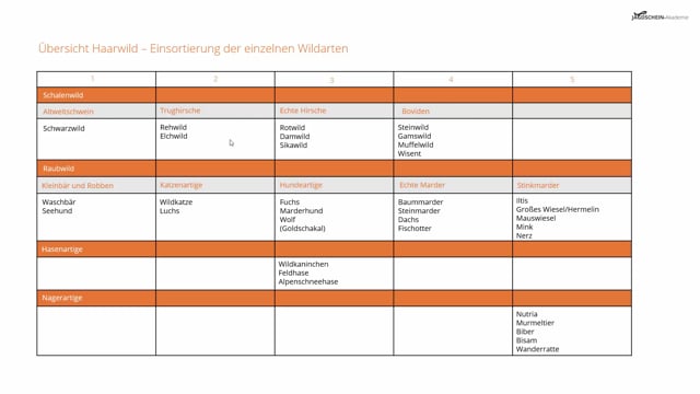 Übersicht Haarwild - Einsortierung der Wildarten